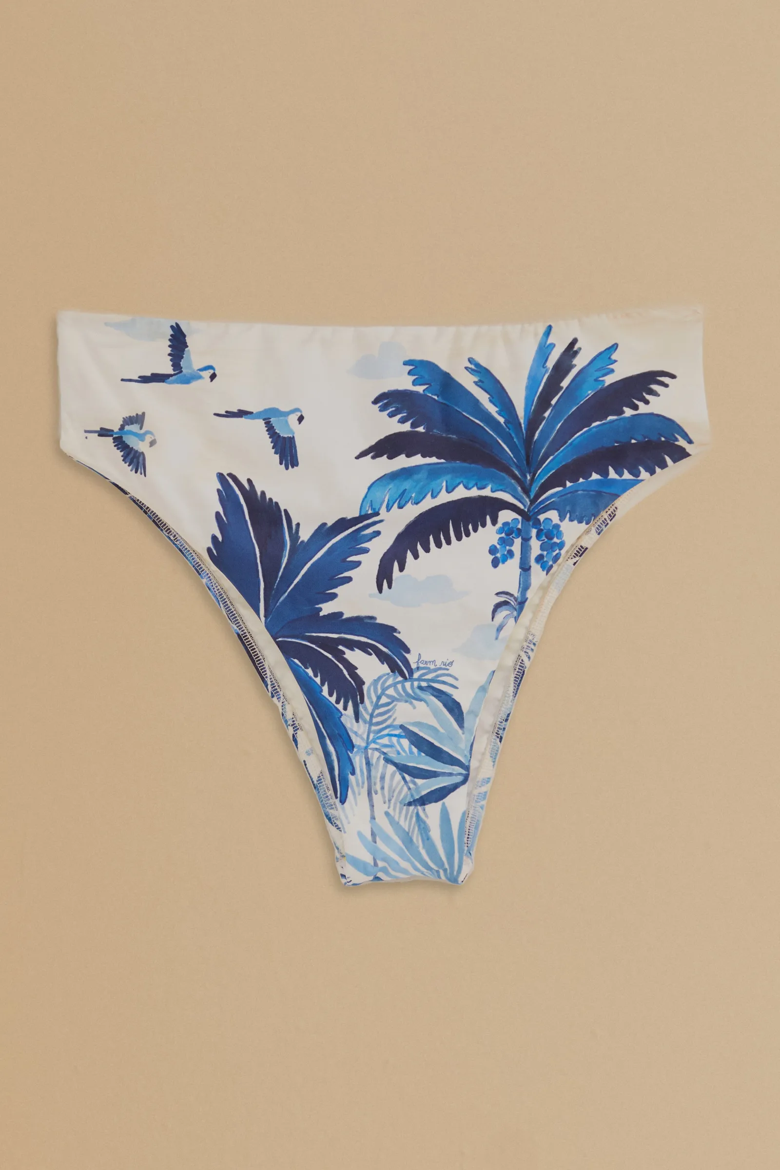 DREAM SKY HIGH WAISTED BIKINI BOTTOM
